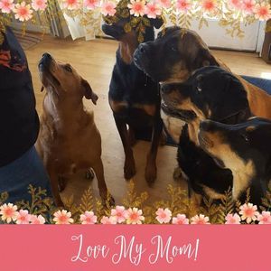 Meet your Posher, Jeri